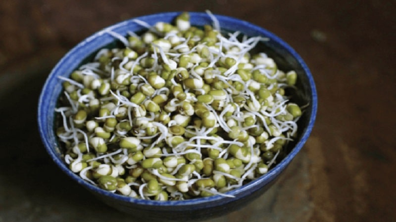 Green Gram Sprouts