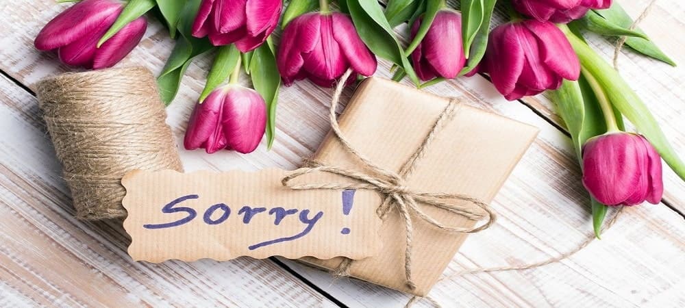 apology flower