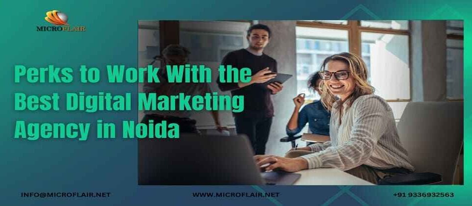 Digital Marketing Agency in Noida